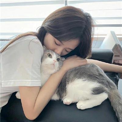 波牛